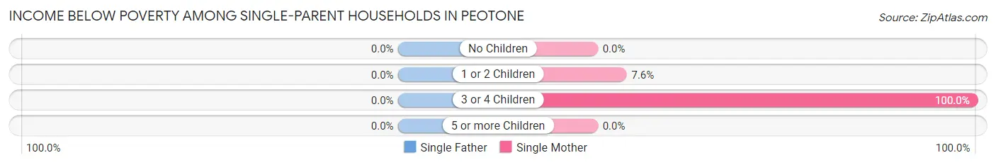 Income Below Poverty Among Single-Parent Households in Peotone