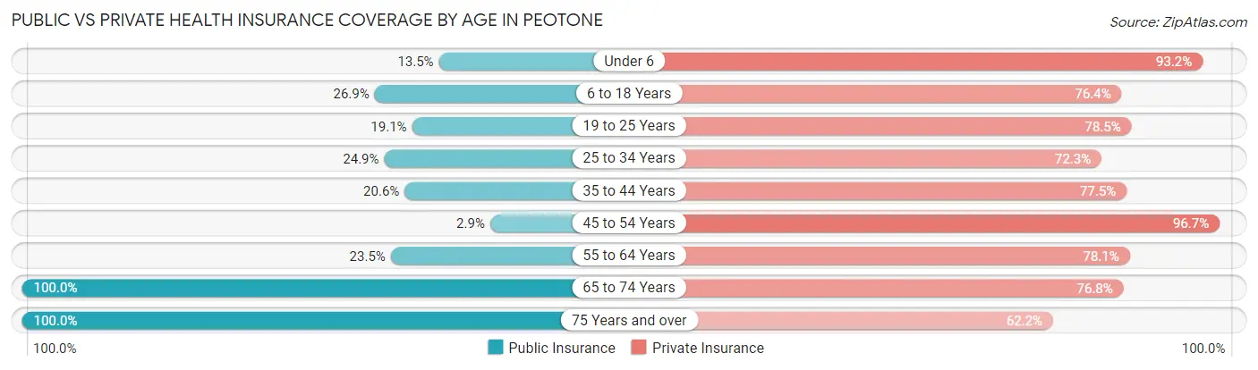 Public vs Private Health Insurance Coverage by Age in Peotone