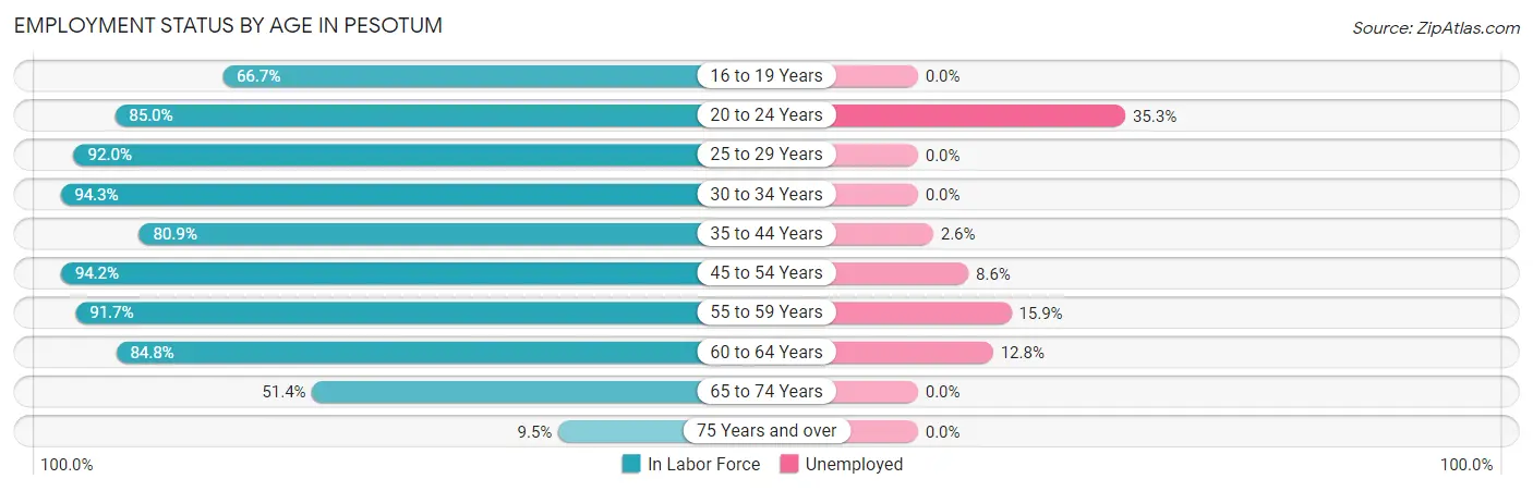 Employment Status by Age in Pesotum