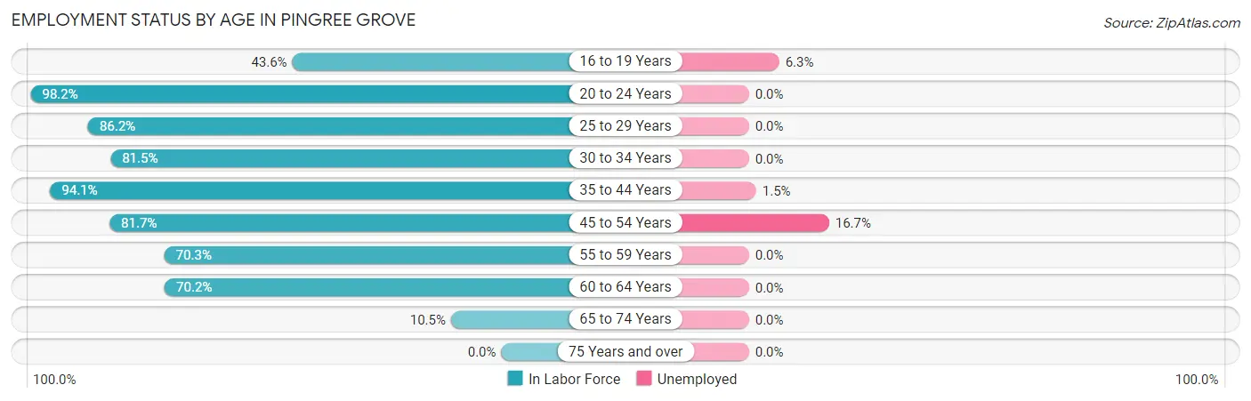 Employment Status by Age in Pingree Grove