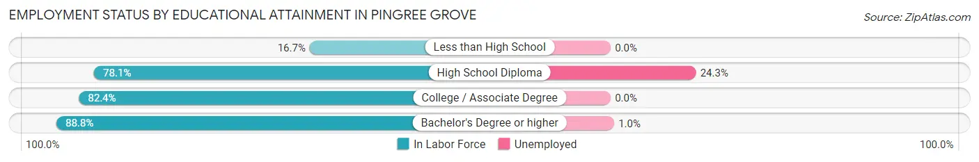 Employment Status by Educational Attainment in Pingree Grove