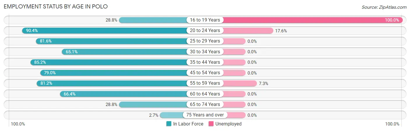 Employment Status by Age in Polo