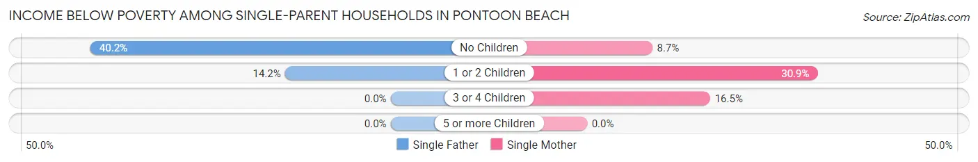 Income Below Poverty Among Single-Parent Households in Pontoon Beach