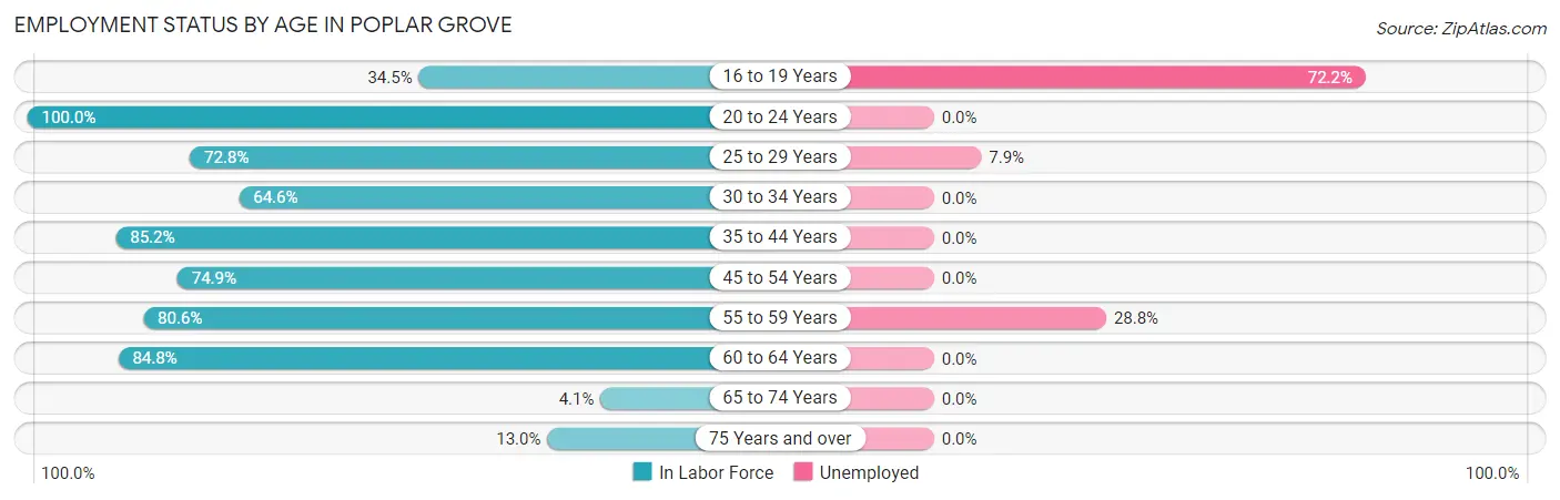 Employment Status by Age in Poplar Grove