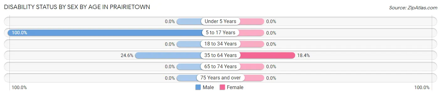 Disability Status by Sex by Age in Prairietown