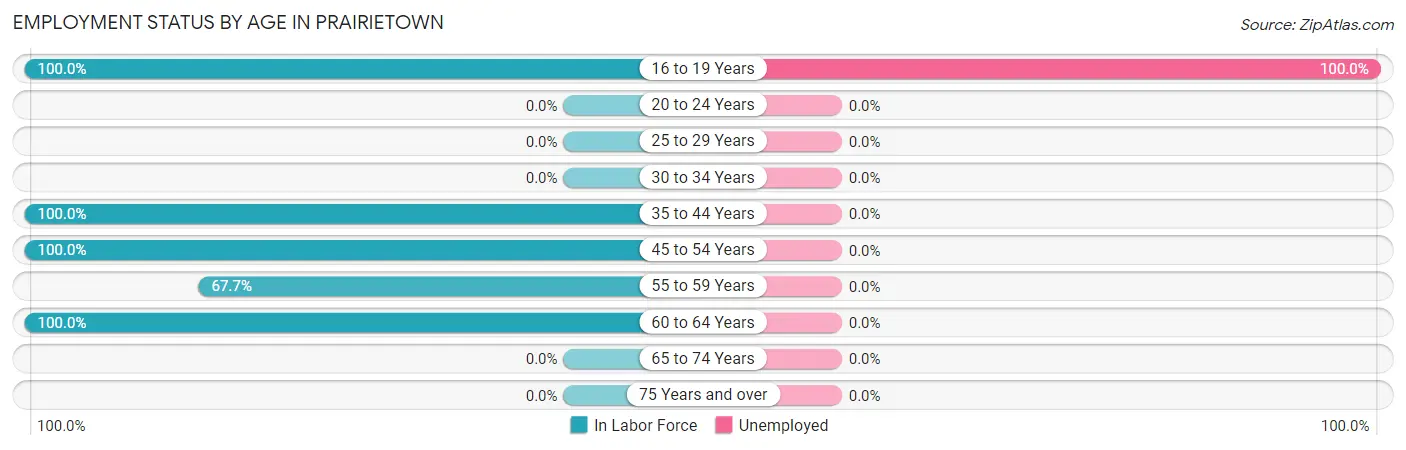 Employment Status by Age in Prairietown