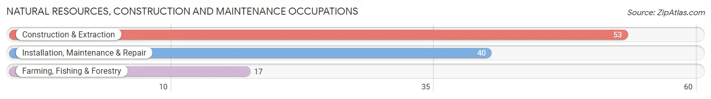 Natural Resources, Construction and Maintenance Occupations in Princeville