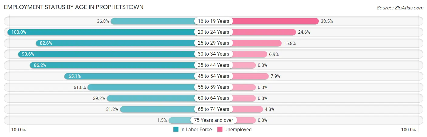 Employment Status by Age in Prophetstown