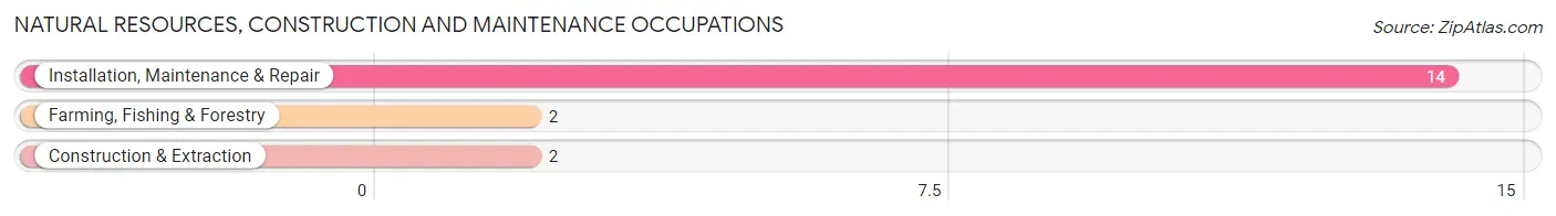 Natural Resources, Construction and Maintenance Occupations in Raymond