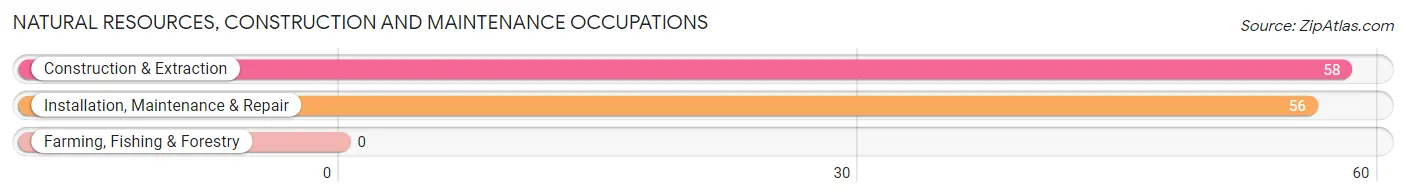 Natural Resources, Construction and Maintenance Occupations in Rest Haven