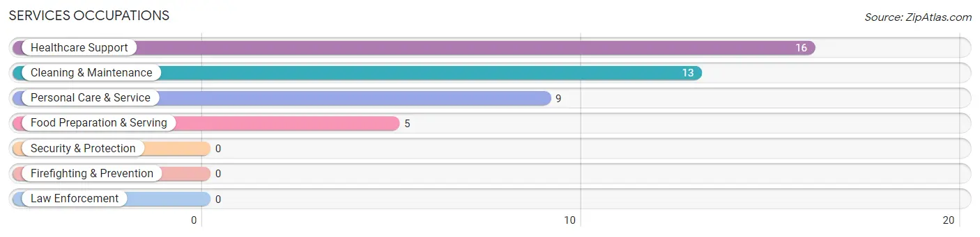 Services Occupations in Rock City