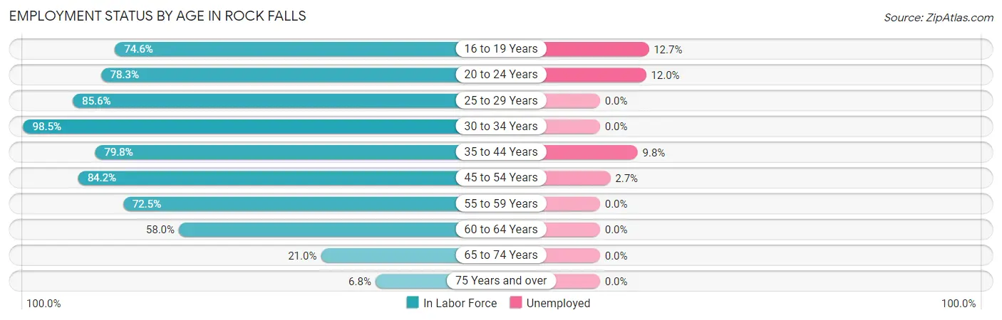 Employment Status by Age in Rock Falls