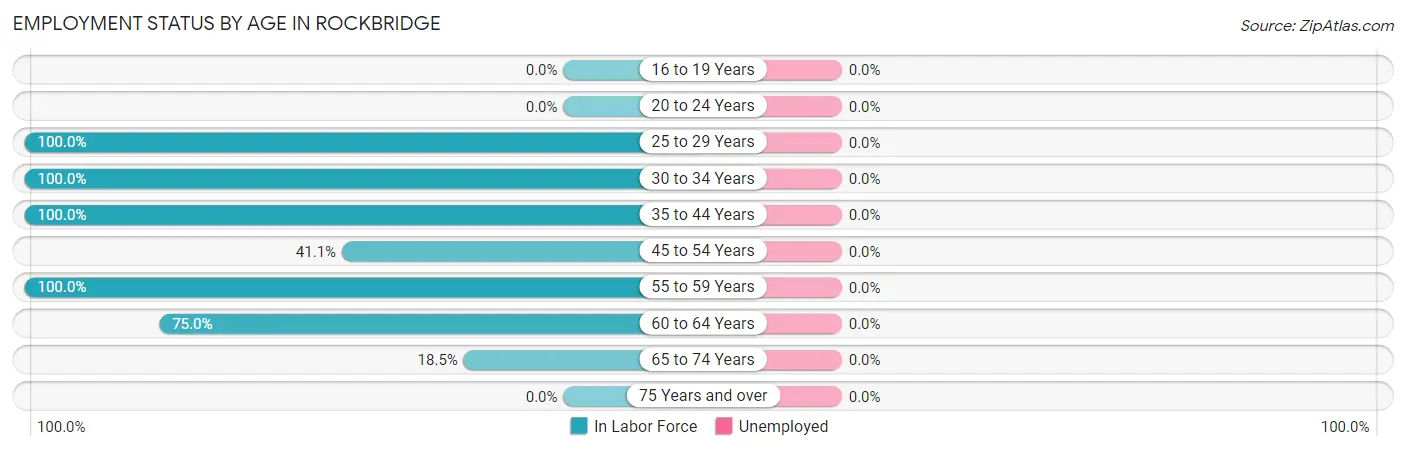Employment Status by Age in Rockbridge