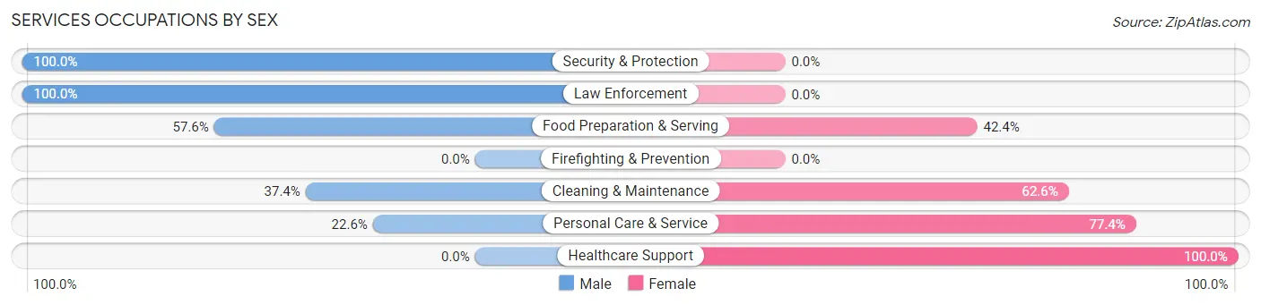 Services Occupations by Sex in Rockton