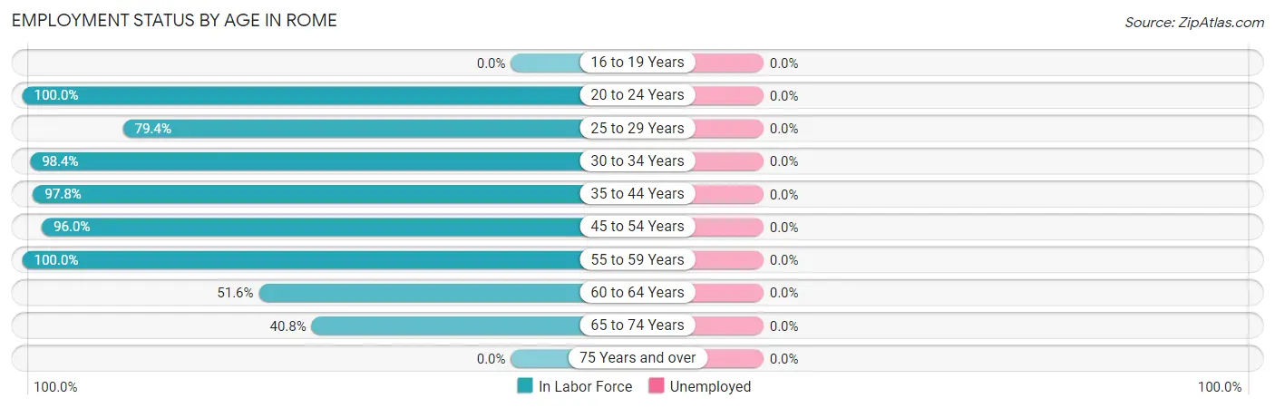 Employment Status by Age in Rome