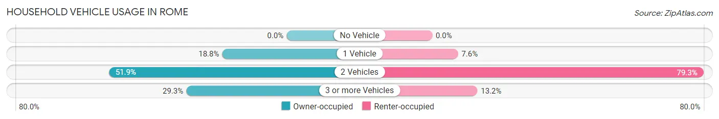 Household Vehicle Usage in Rome