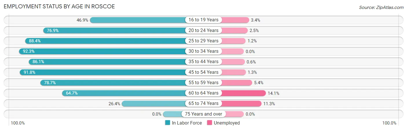 Employment Status by Age in Roscoe