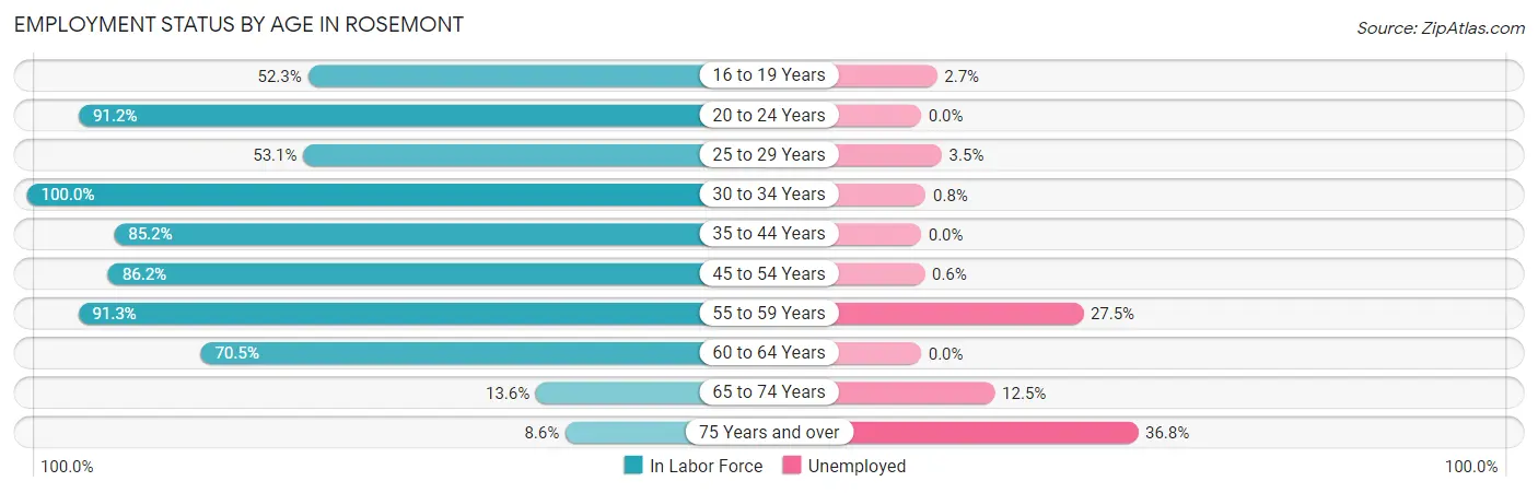 Employment Status by Age in Rosemont