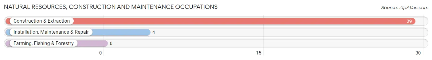 Natural Resources, Construction and Maintenance Occupations in Rosiclare