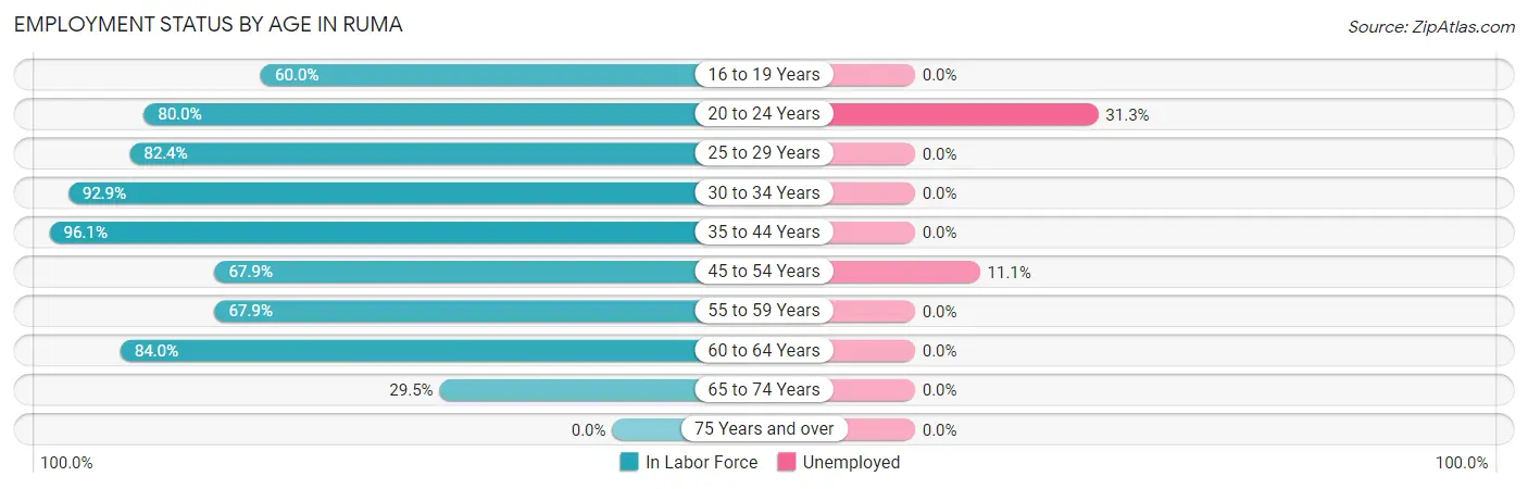 Employment Status by Age in Ruma
