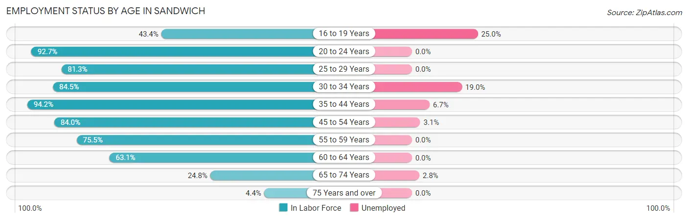 Employment Status by Age in Sandwich