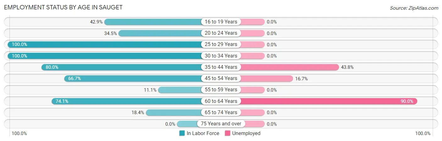 Employment Status by Age in Sauget