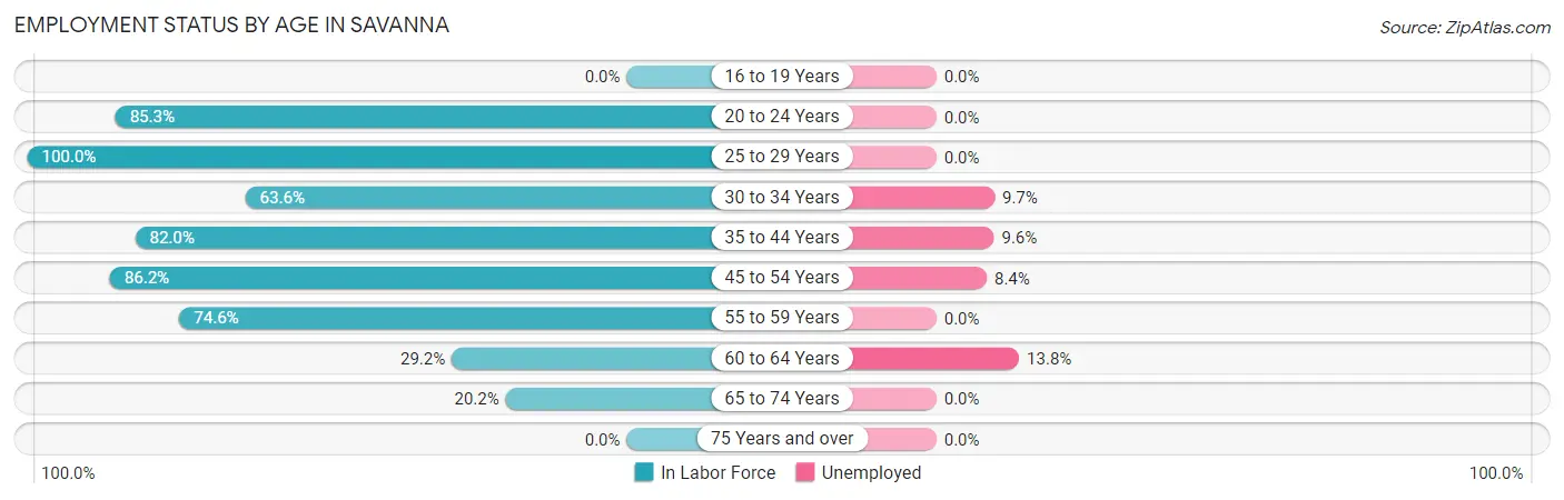 Employment Status by Age in Savanna