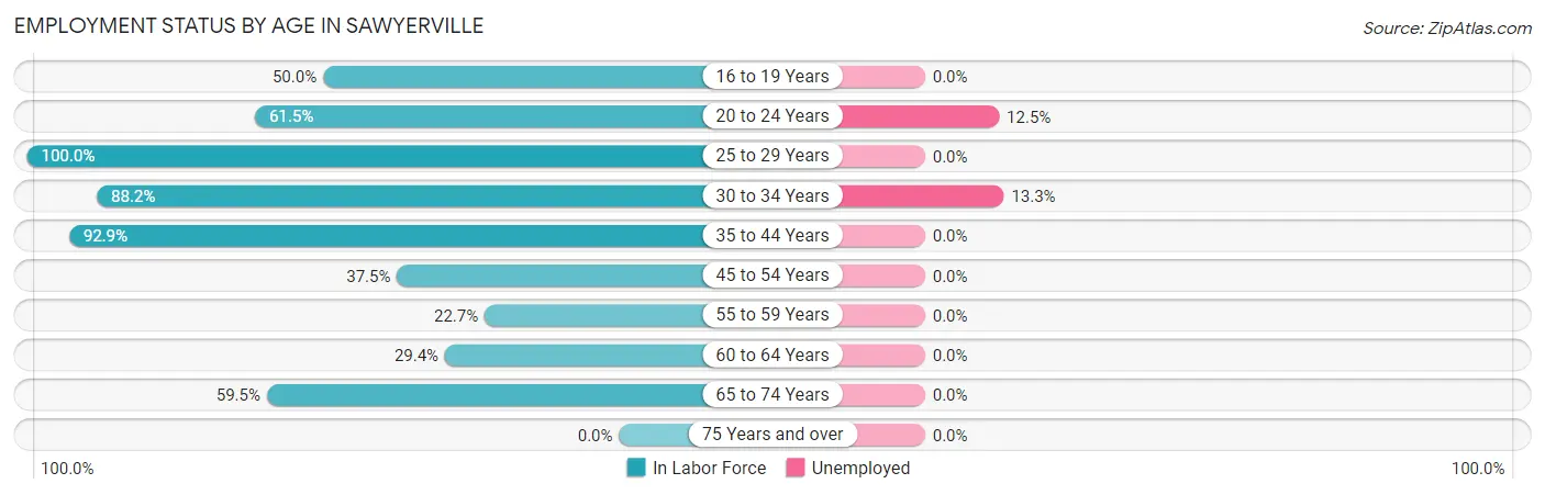 Employment Status by Age in Sawyerville