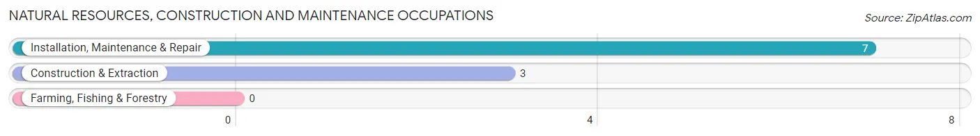 Natural Resources, Construction and Maintenance Occupations in Sawyerville