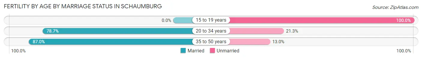 Female Fertility by Age by Marriage Status in Schaumburg
