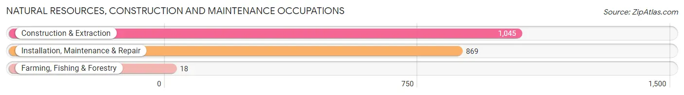 Natural Resources, Construction and Maintenance Occupations in Schaumburg