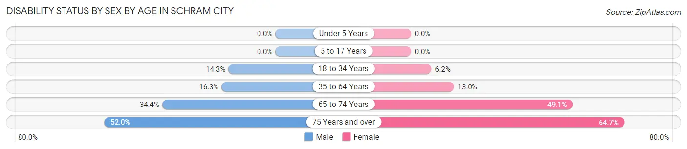 Disability Status by Sex by Age in Schram City