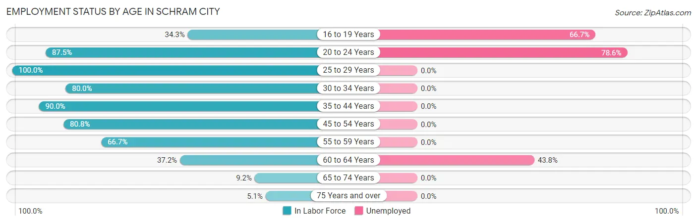 Employment Status by Age in Schram City