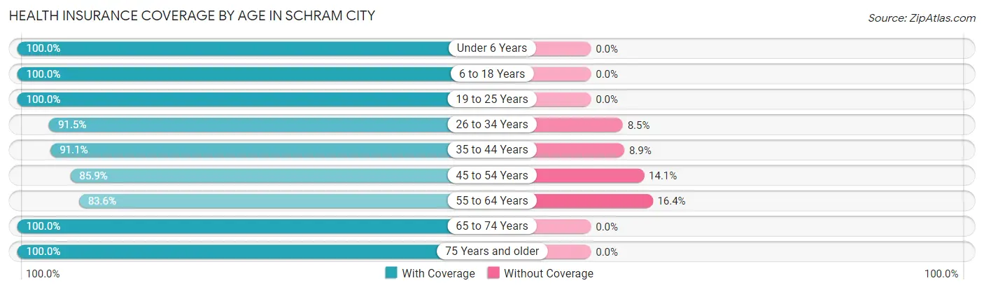Health Insurance Coverage by Age in Schram City