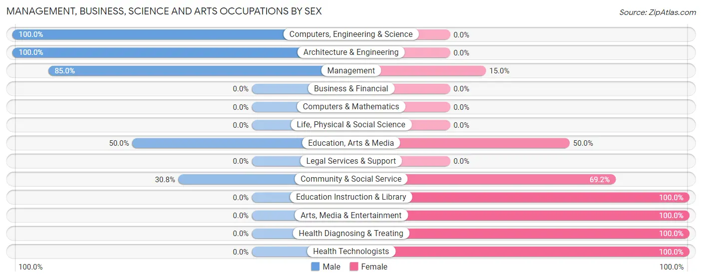 Management, Business, Science and Arts Occupations by Sex in Schram City
