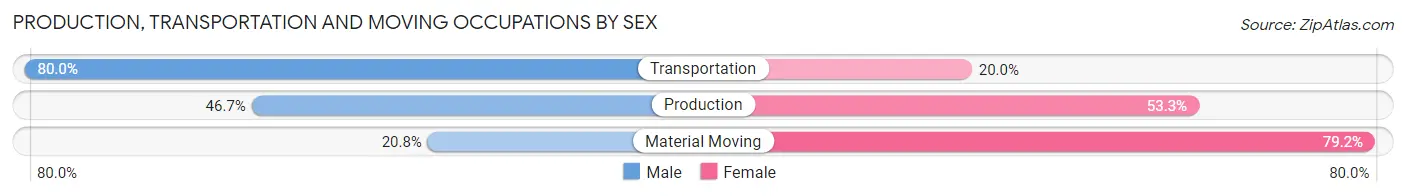 Production, Transportation and Moving Occupations by Sex in Schram City