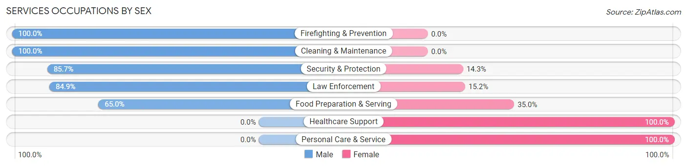 Services Occupations by Sex in Schram City