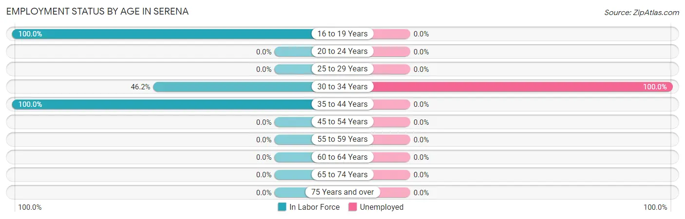 Employment Status by Age in Serena