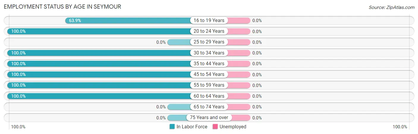 Employment Status by Age in Seymour