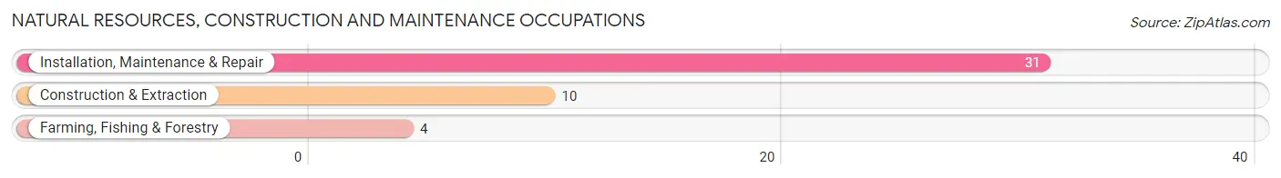 Natural Resources, Construction and Maintenance Occupations in Shabbona