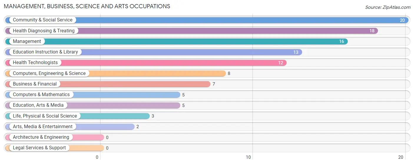 Management, Business, Science and Arts Occupations in Shannon