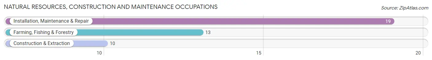 Natural Resources, Construction and Maintenance Occupations in Shannon