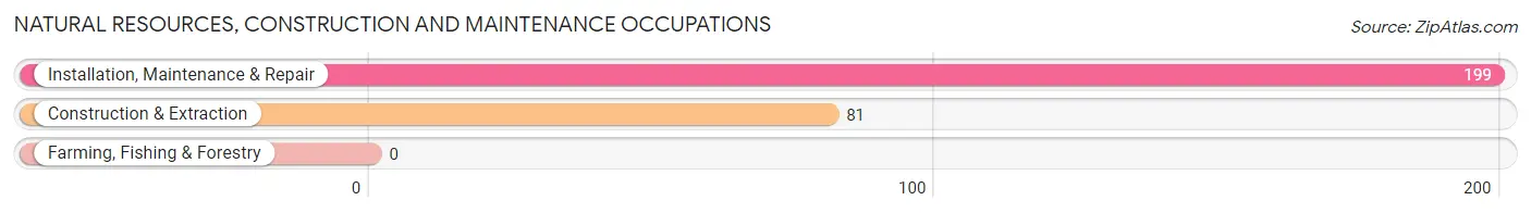 Natural Resources, Construction and Maintenance Occupations in Shiloh