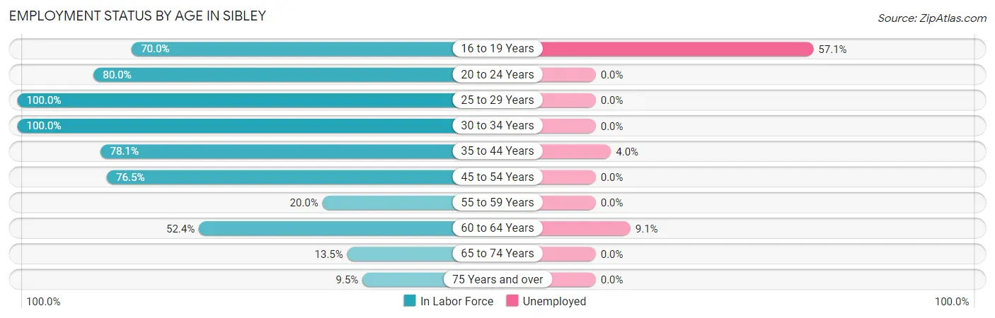 Employment Status by Age in Sibley