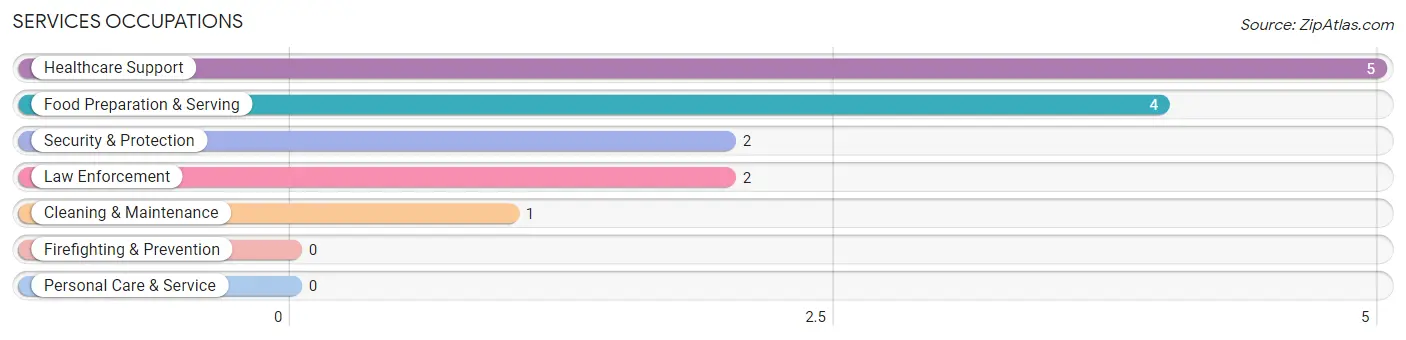 Services Occupations in Sibley