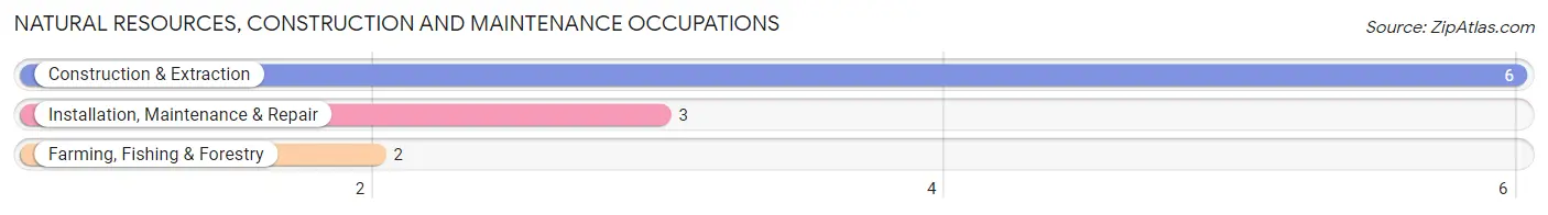 Natural Resources, Construction and Maintenance Occupations in Sims