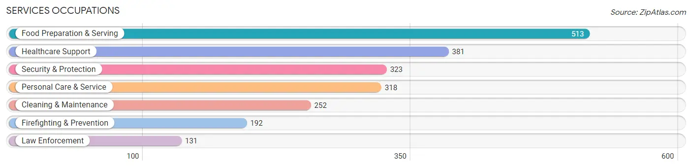 Services Occupations in South Elgin