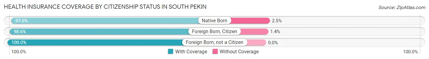 Health Insurance Coverage by Citizenship Status in South Pekin