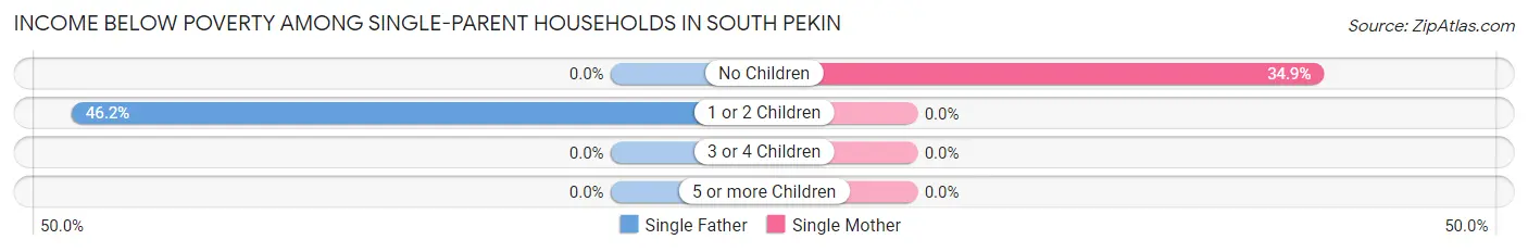 Income Below Poverty Among Single-Parent Households in South Pekin