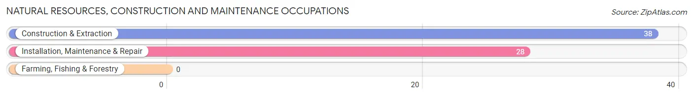 Natural Resources, Construction and Maintenance Occupations in South Wilmington